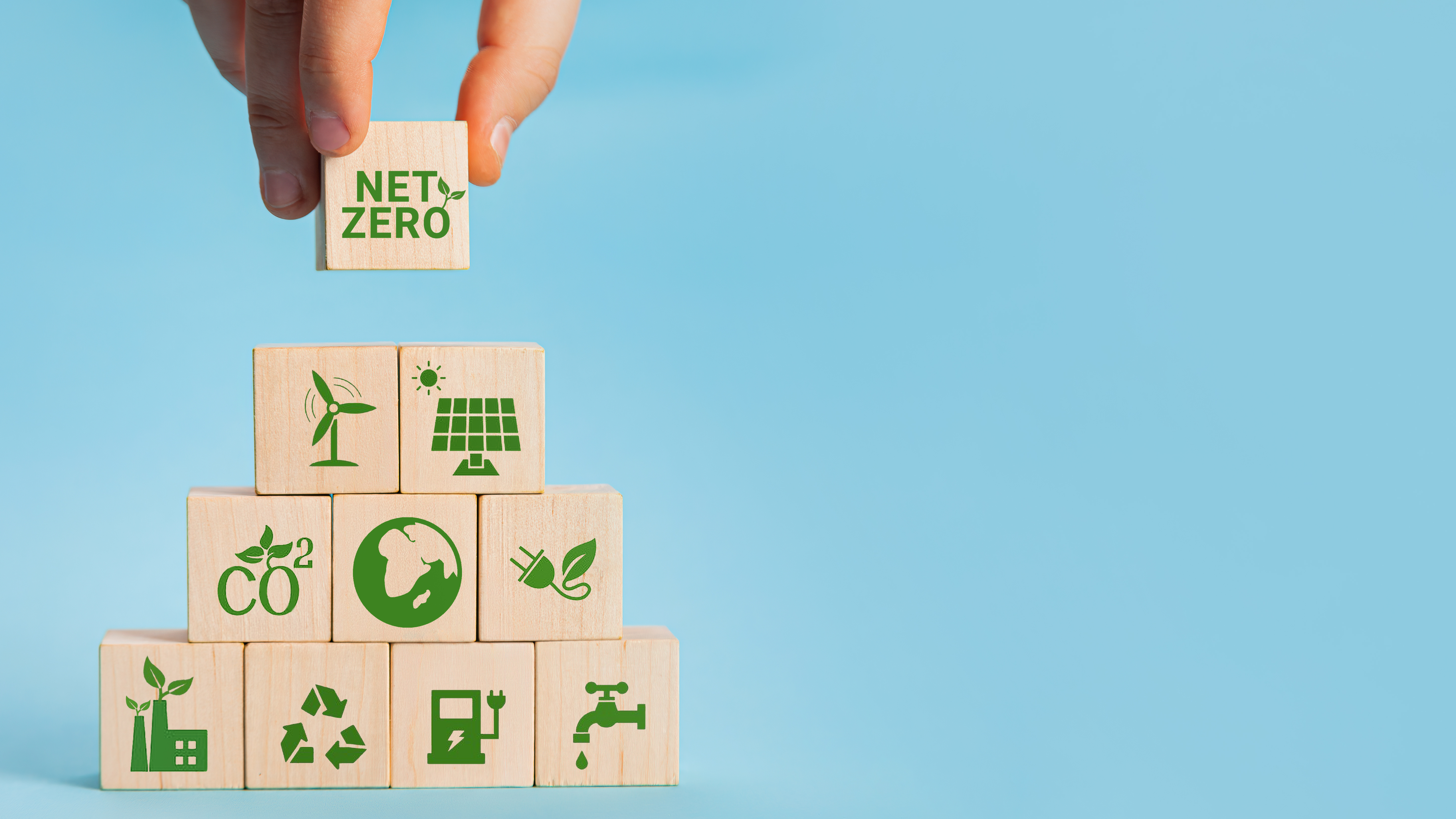 What Is Net Zero Carbon Emissions